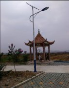 广西南宁上林县太阳能路灯案例